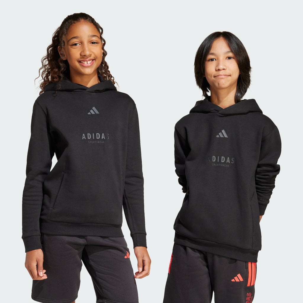 Kids' adidas ALL SZN Graphic Hoodie Kids