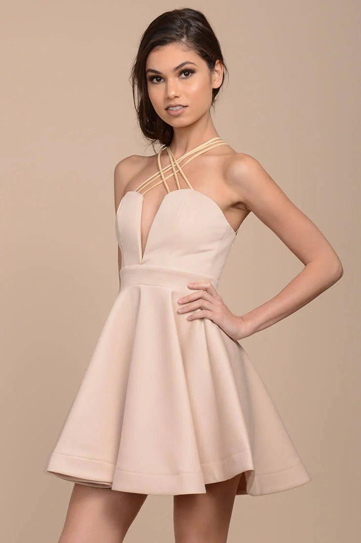 Karrin Fit and Flare Dress Nude