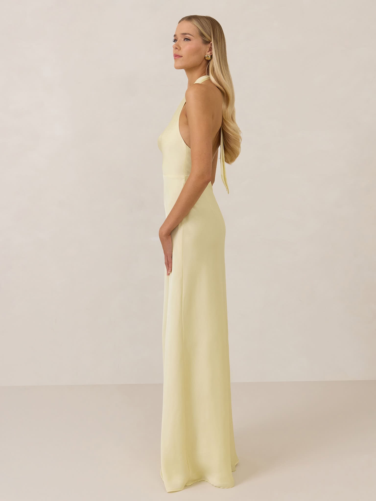 Elegant Dress