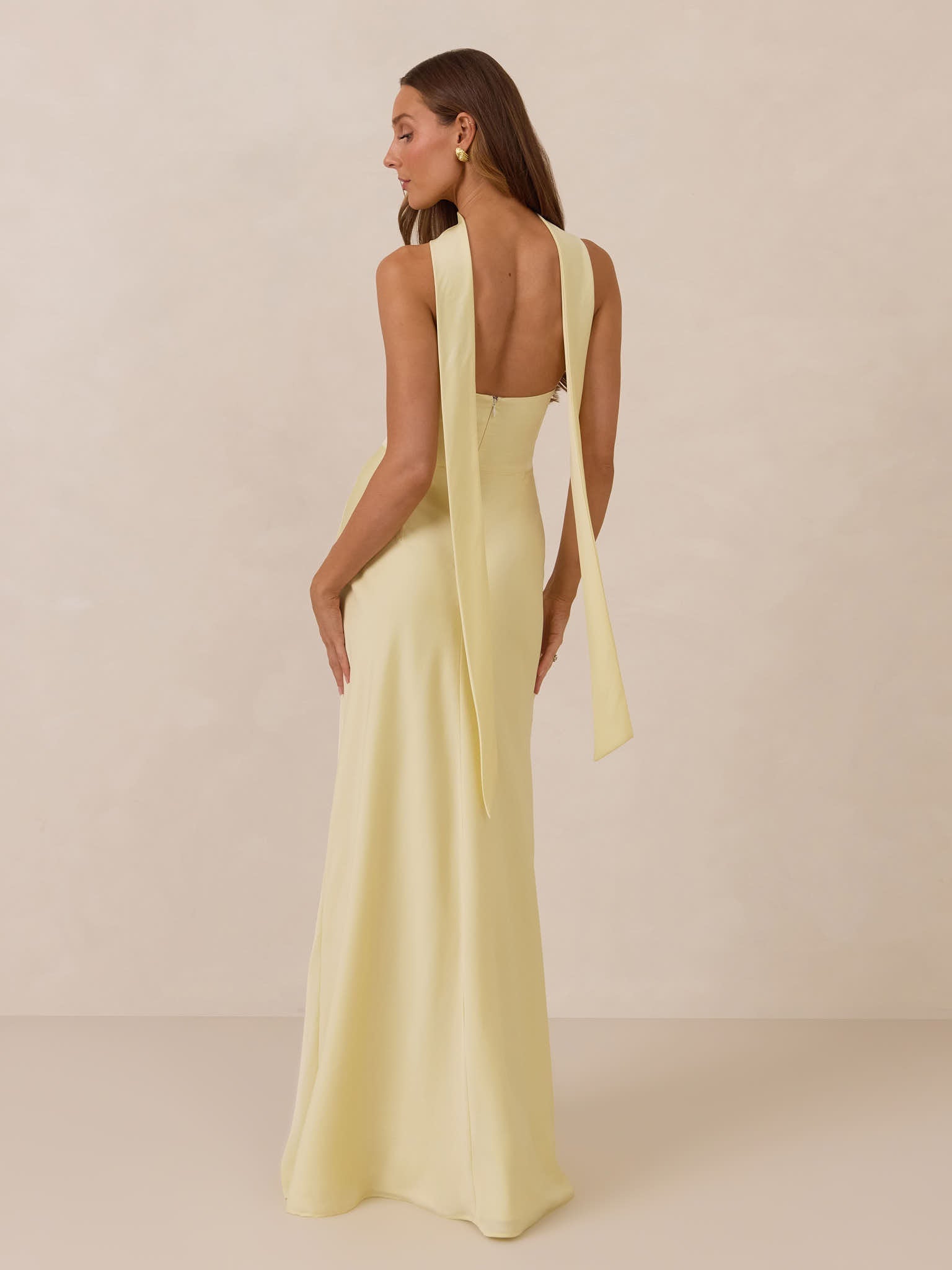 Elegant Dress