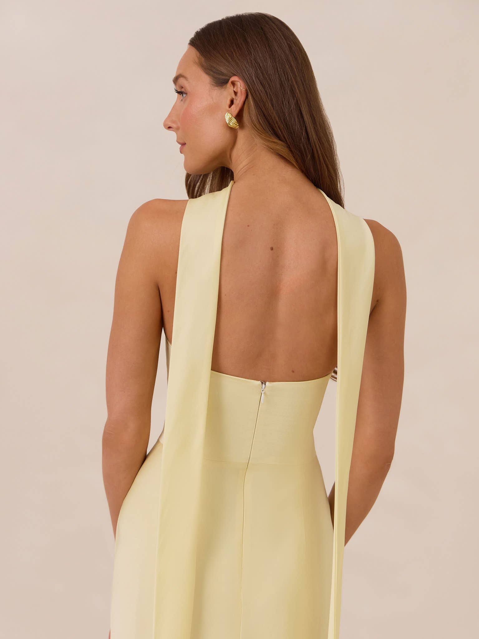 Elegant Dress
