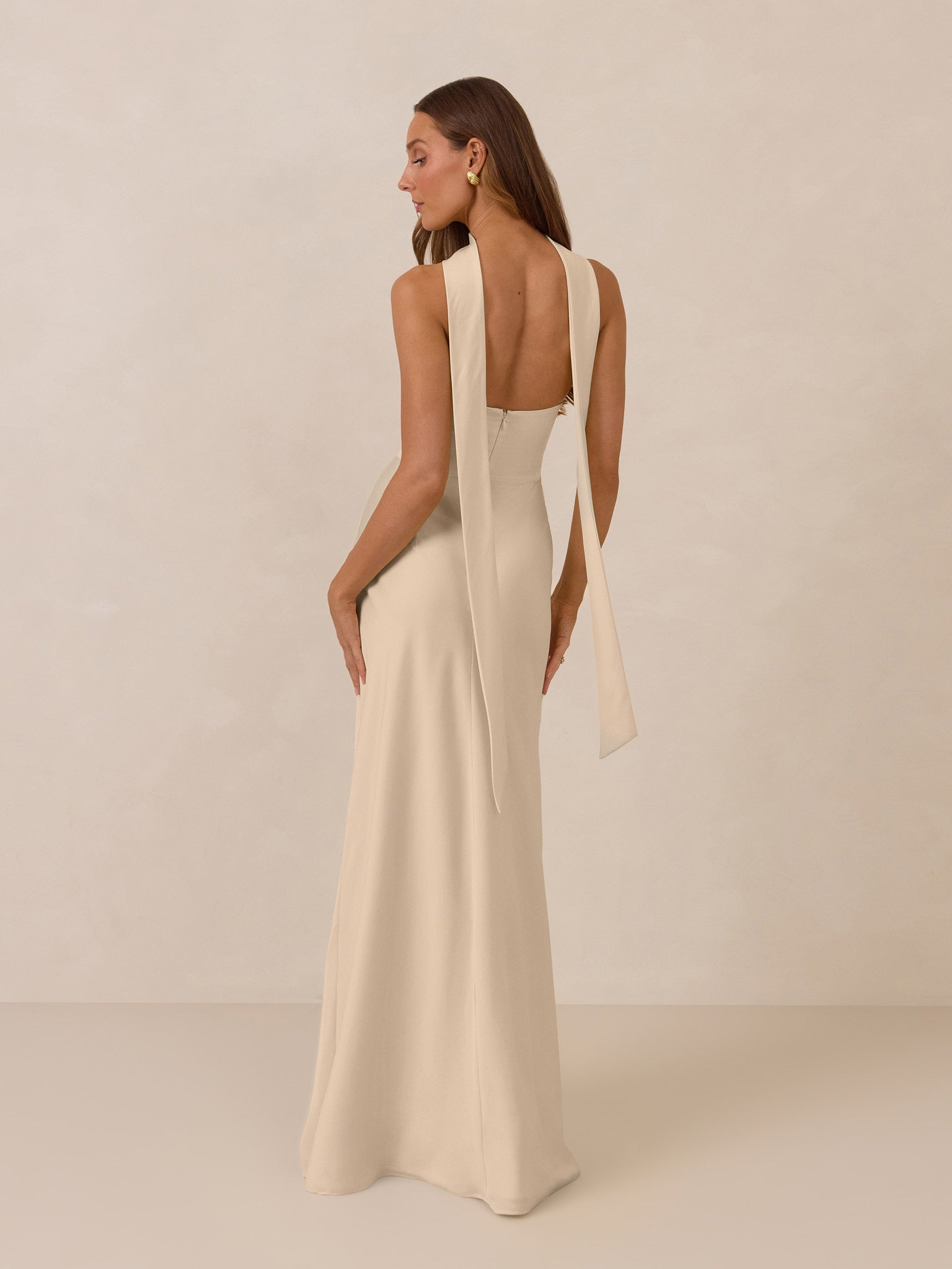 Elegant Dress