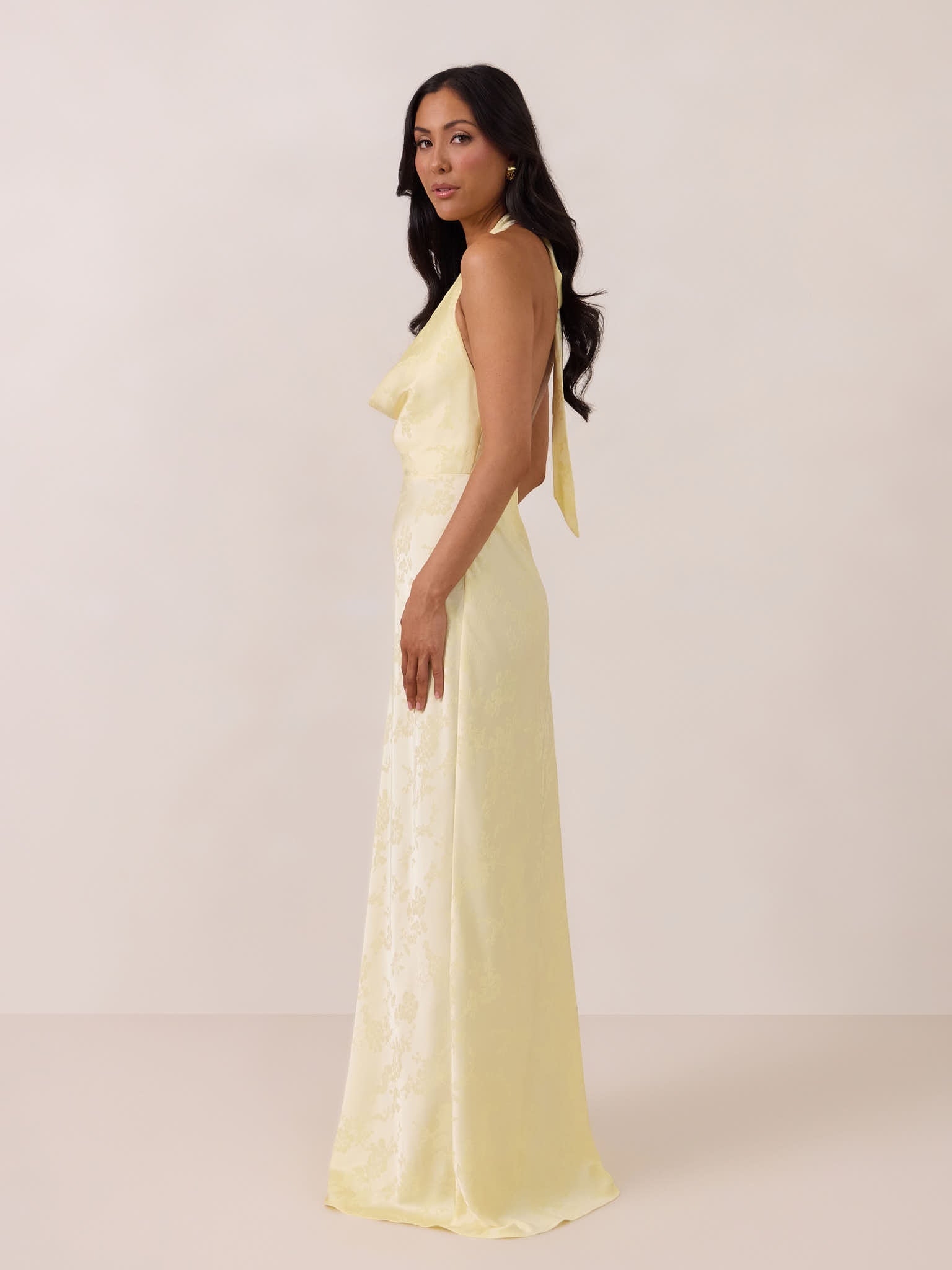 Elegant Dress