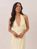 Elegant Dress