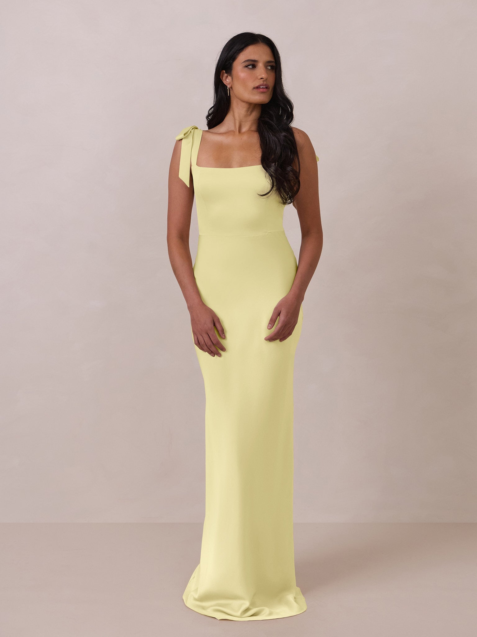 Elegant Dress