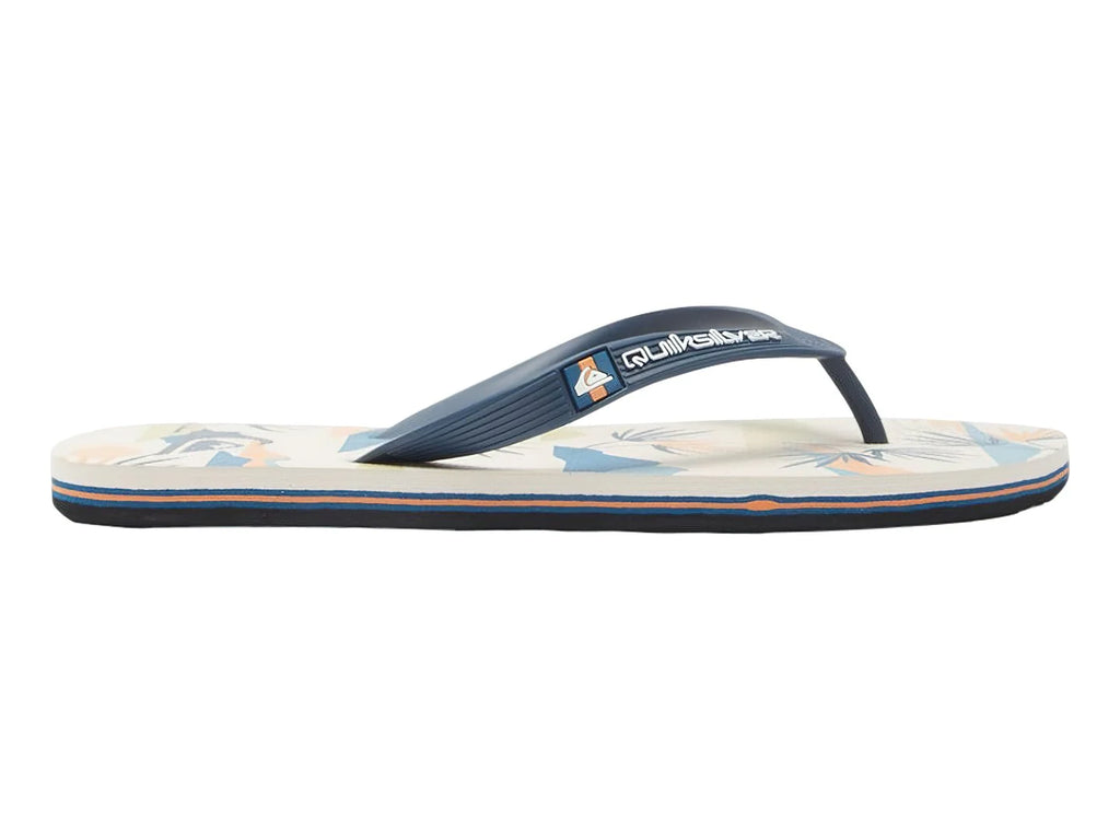 Sandalias Quiksilver Molokai Art Multicolor para Hombre