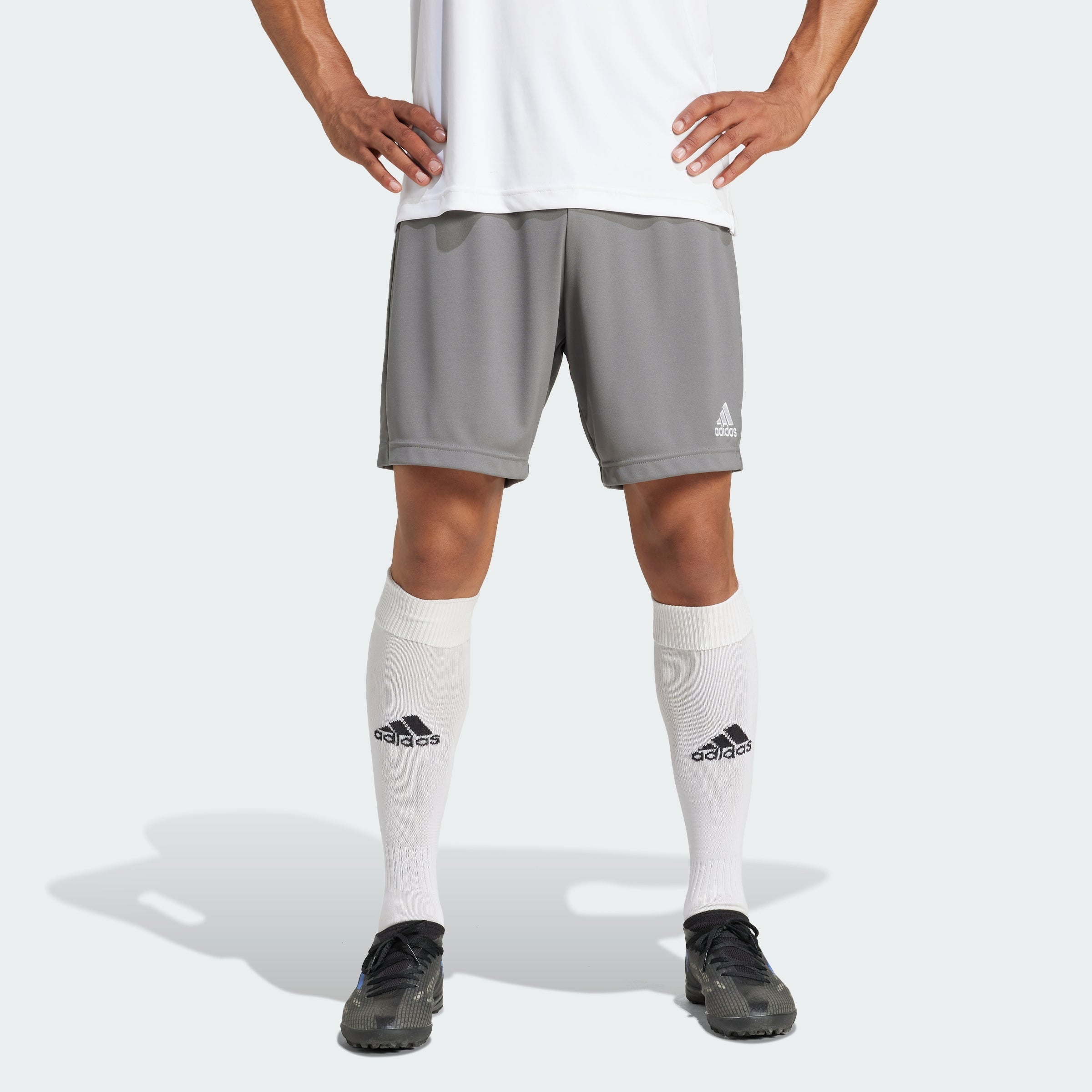 Men's adidas Entrada 22 Shorts