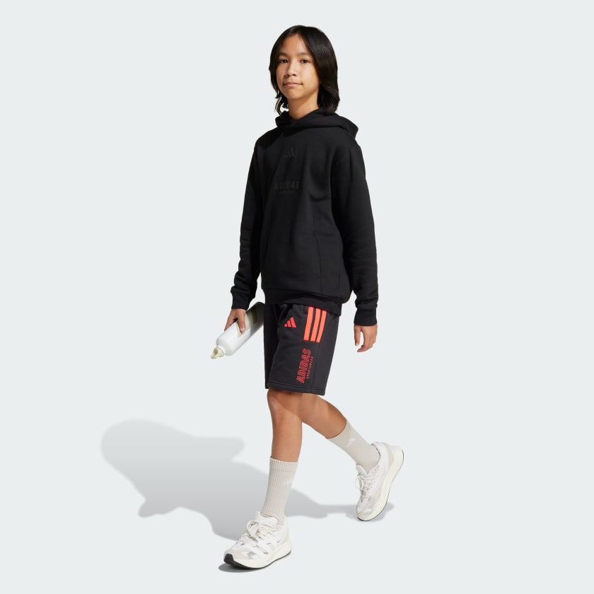 Kids' adidas ALL SZN Graphic Hoodie Kids