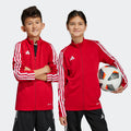 Kids' adidas Tiro 23 League Training Jacket