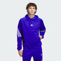Men's adidas Select Foundation Fleece Hoodie
