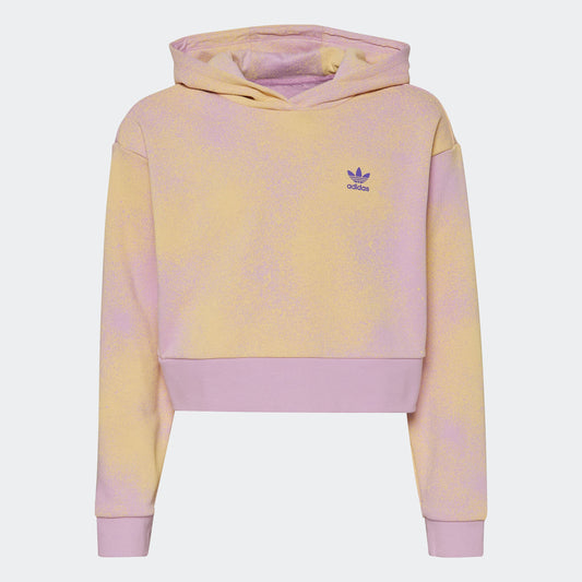 Kids' adidas Graphic Print Crop Hoodie