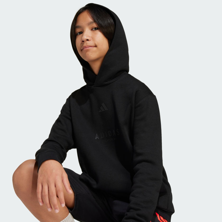 Kids' adidas ALL SZN Graphic Hoodie Kids