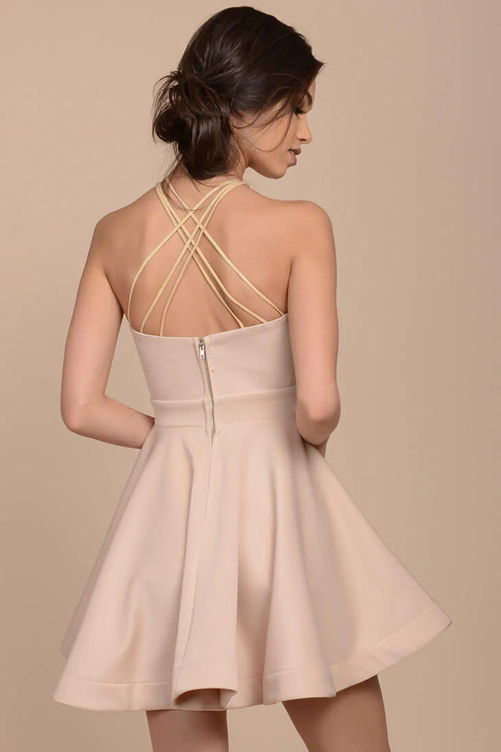 Karrin Fit and Flare Dress Nude