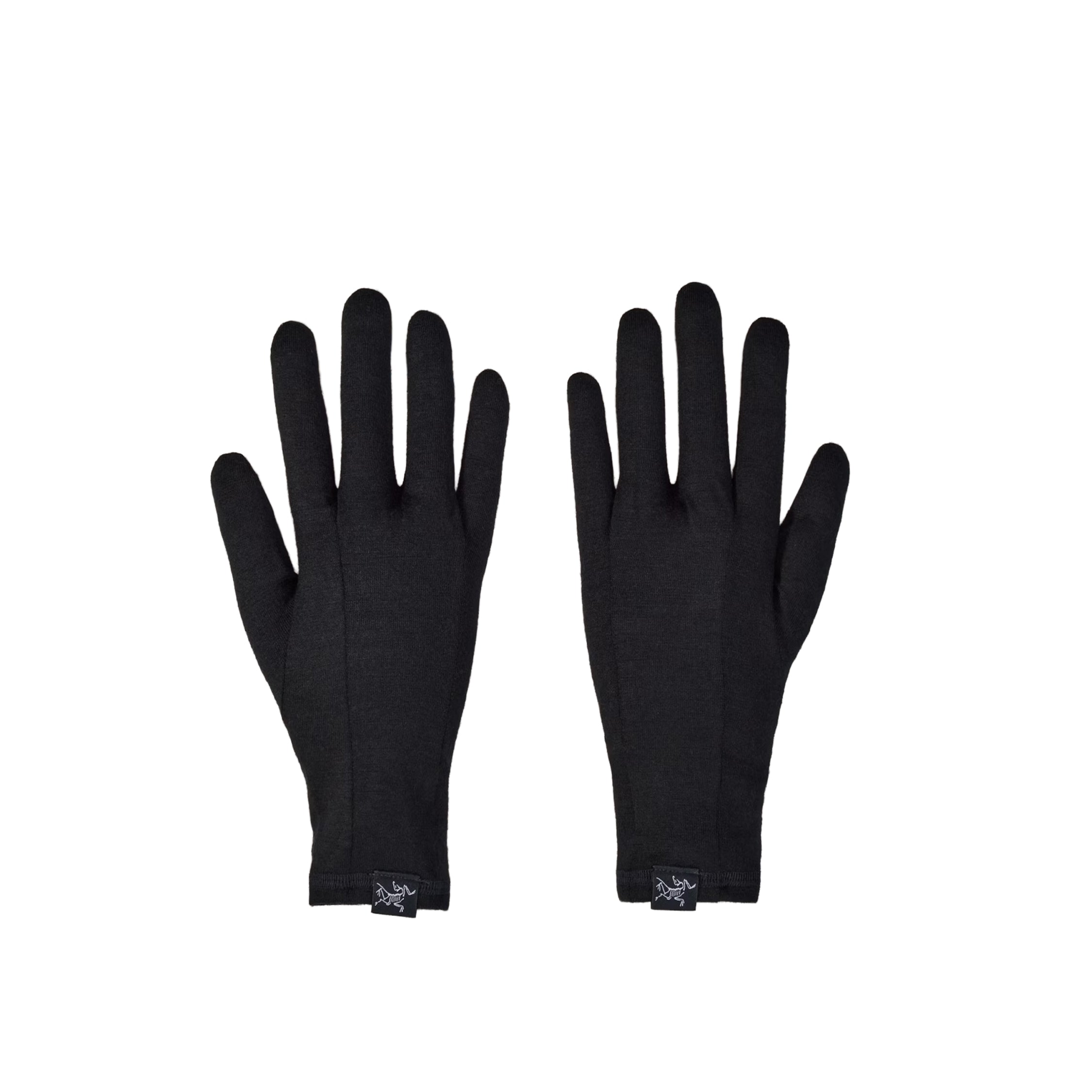 Arc'teryx Gothic Glove