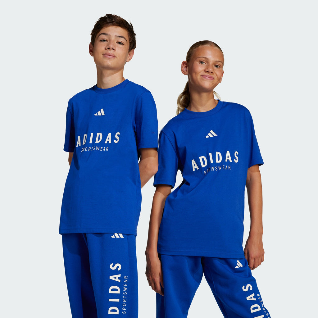 Kids' adidas ALL SZN Graphic Tee Kids