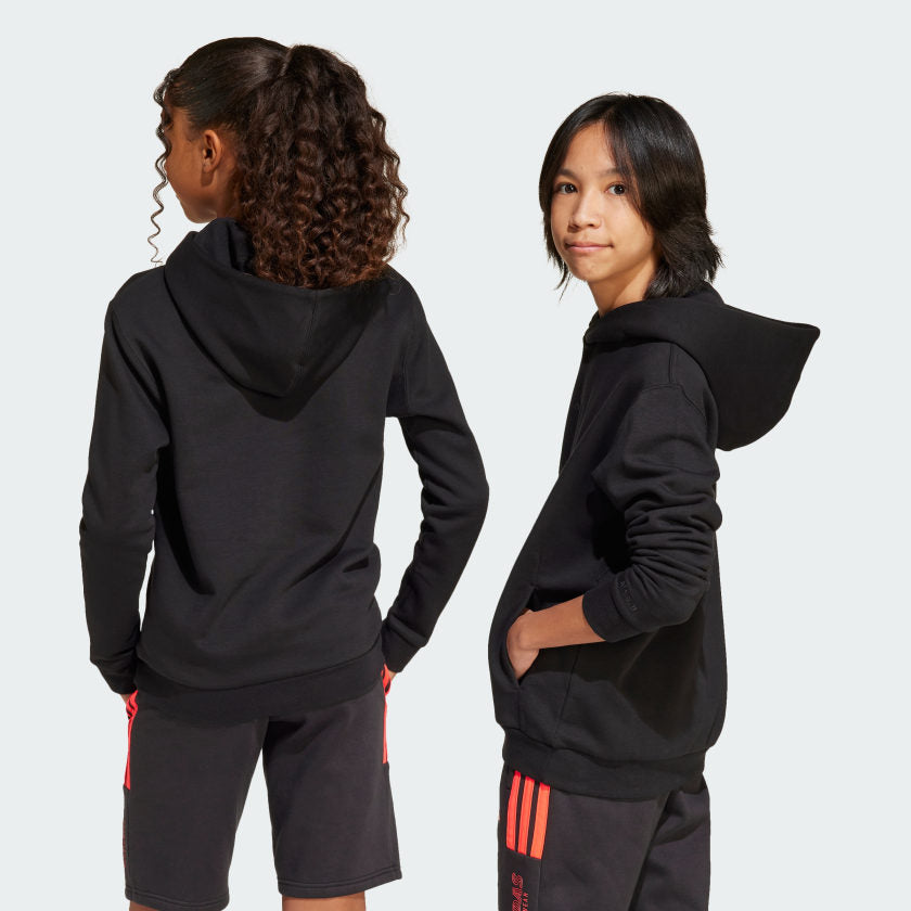 Kids' adidas ALL SZN Graphic Hoodie Kids