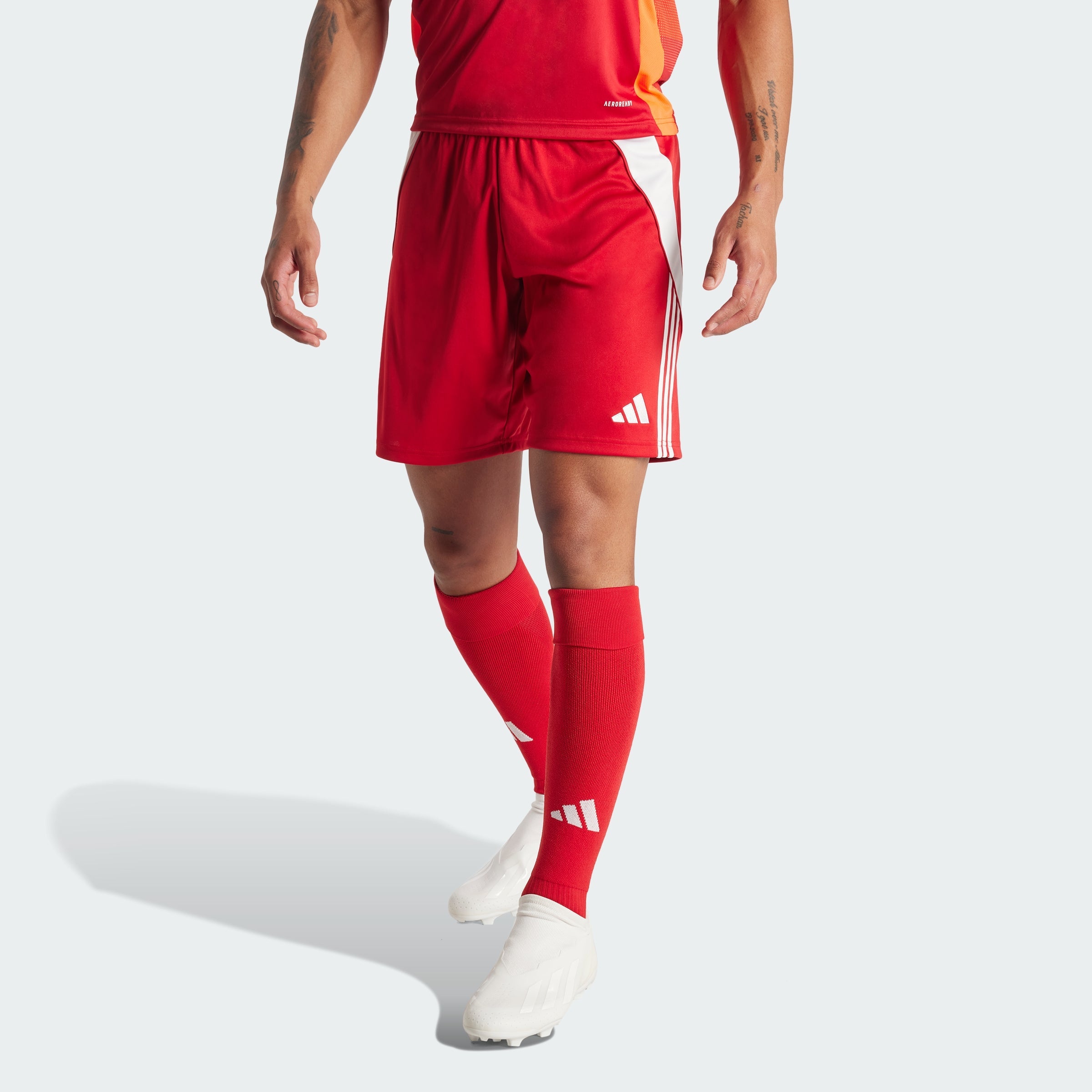 Men's adidas Tiro 24 Shorts