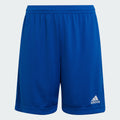 Kids' adidas Entrada 22 Shorts